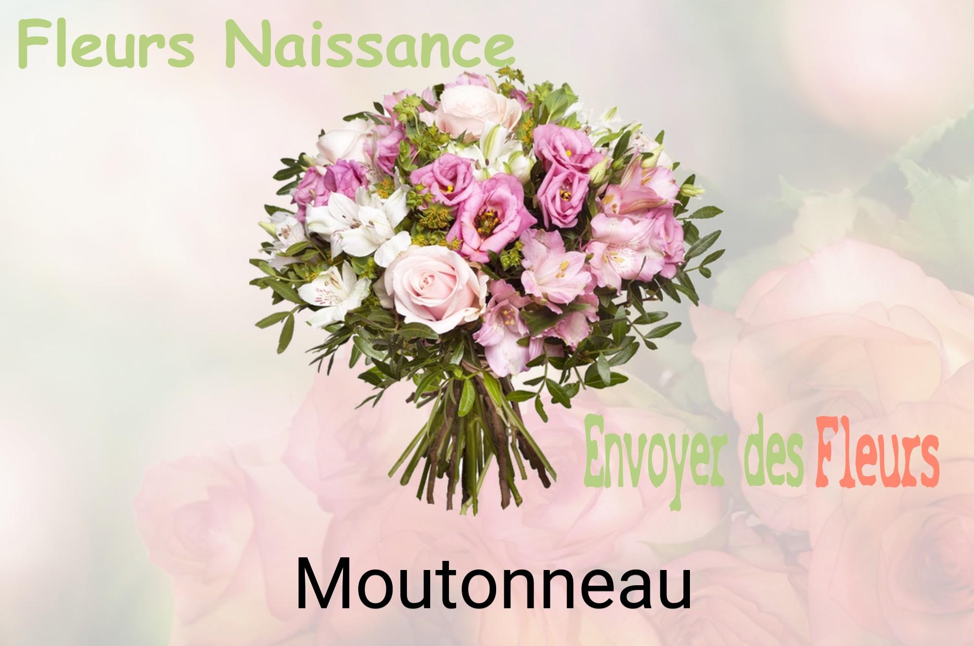 Bouquet de fleurs de naissance livré à Moutonneau
